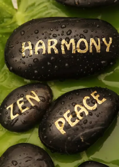 harmoniser son lieu zen