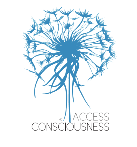 Access_Consciousness nadege viallon access bars